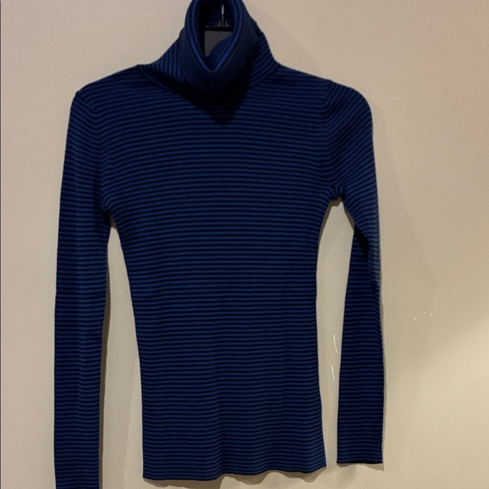 Banana Republic Navy Striped Turtleneck Sweater